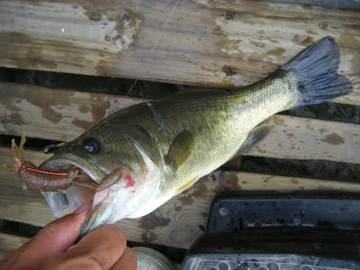 DSCF0537.JPG