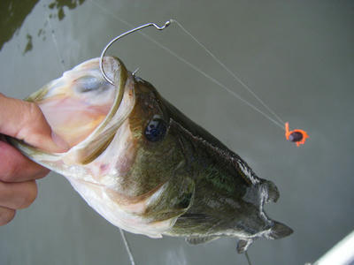 DSCF0538.JPG