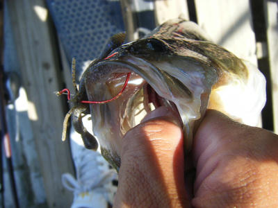 DSCF0541.JPG