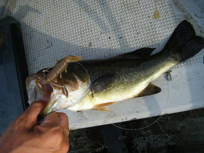 DSCF0544.JPG