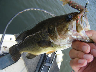 DSCF0545.JPG