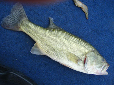 DSCF0549.JPG