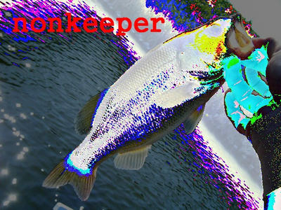 DSCF0559.JPG