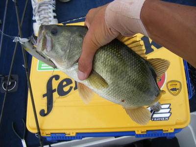 DSCF0572.JPG