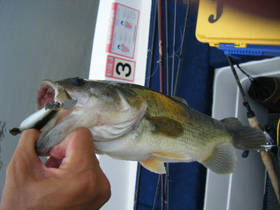 DSCF0573.JPG