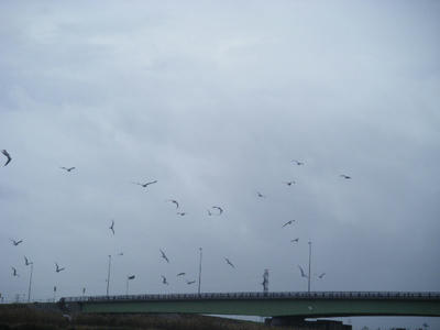 DSCF0720.JPG