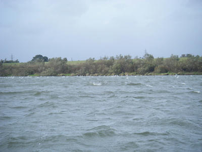 DSCF0718.JPG