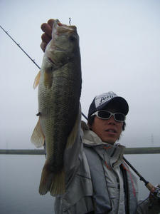 DSCF0715.JPG