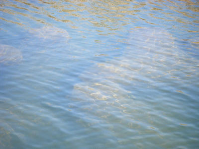 DSCF0751.JPG