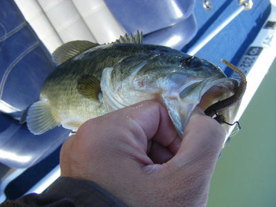 DSCF0752.JPG