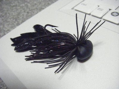 DSCF0733.JPG