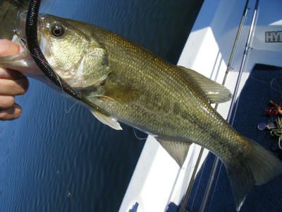 DSCF0789.JPG
