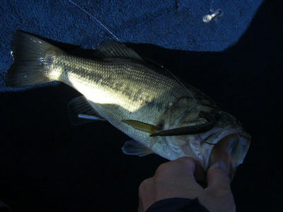 DSCF0790.JPG