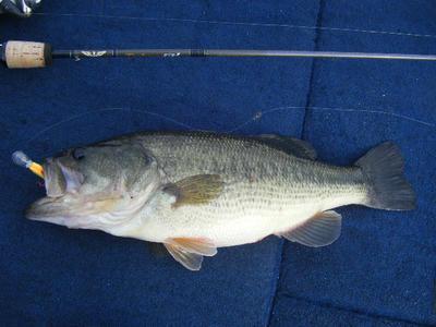 DSCF0799.JPG