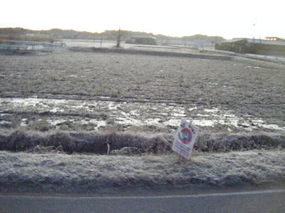 DSCF0805.JPG