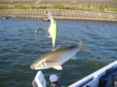 DSCF0815.JPG