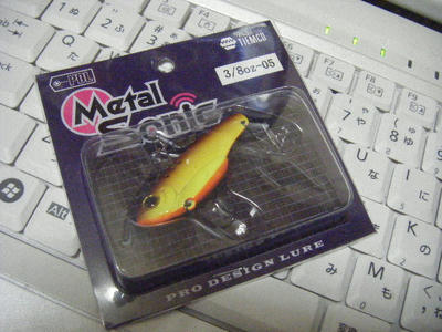 DSCF0819.JPG