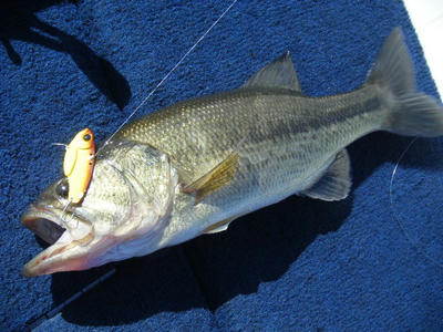 DSCF0811.JPG