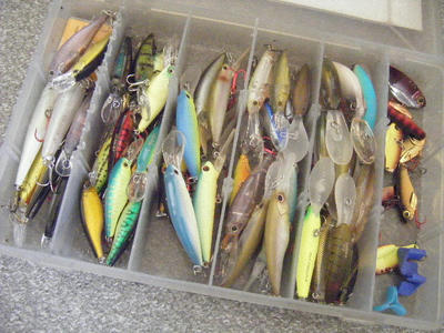 DSCF0889.JPG
