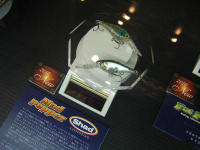 DSCF0952.JPG