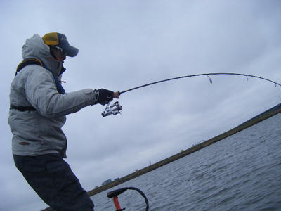 DSCF1013.JPG