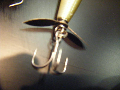 DSCF0955.JPG