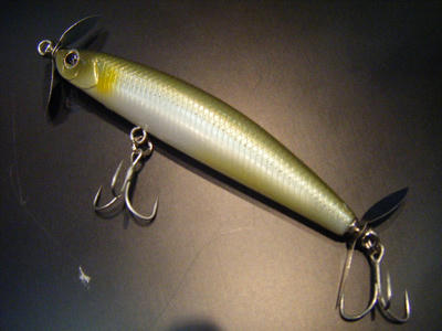 DSCF0957.JPG
