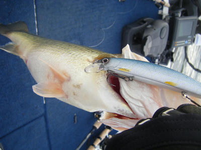 DSCF1041.JPG