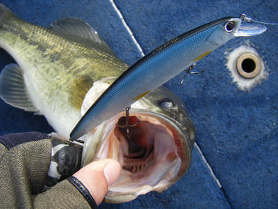 DSCF1040.JPG