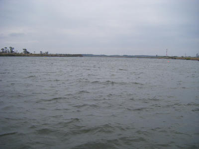 DSCF1063.JPG
