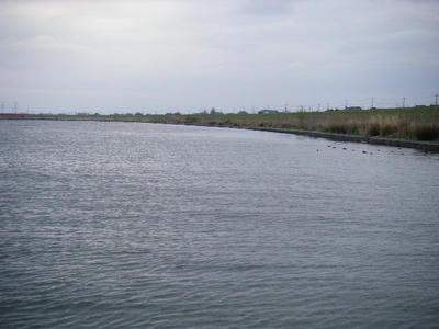 DSCF1067.JPG