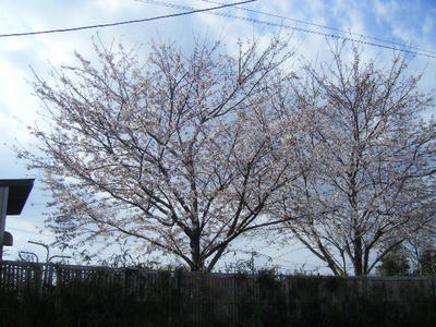 DSCF1078.JPG