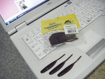 DSCF1100.JPG
