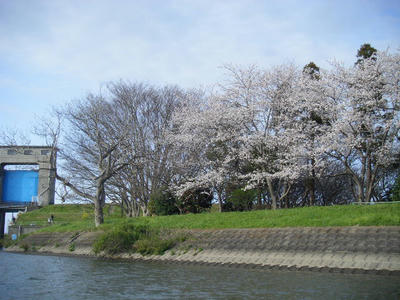 DSCF1108.JPG