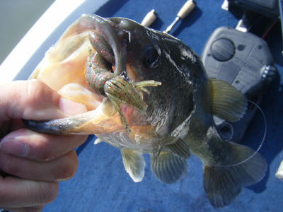 DSCF1119.JPG