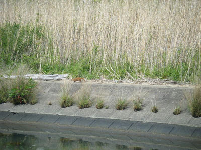 DSCF1124.JPG