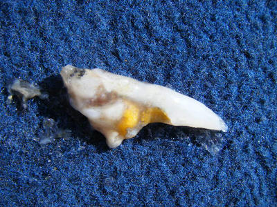 DSCF1120.JPG