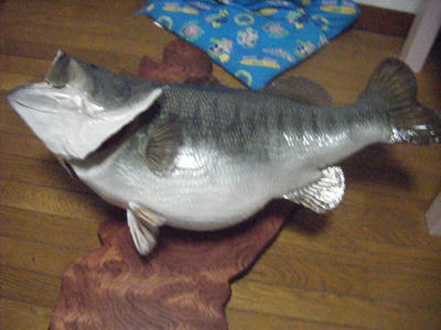 DSCF0877.JPG