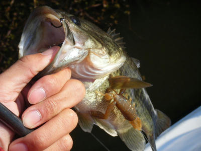 DSCF1135.JPG