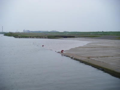 DSCF1139.JPG