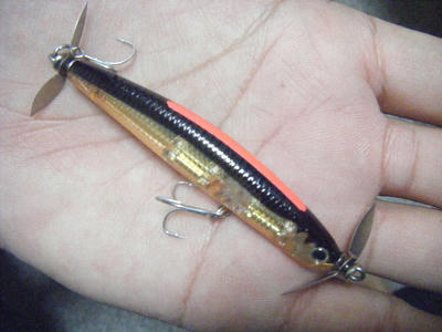 DSCF1240.JPG
