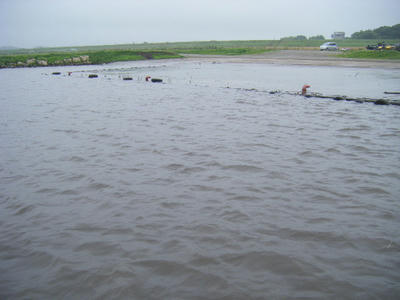 DSCF1291.JPG