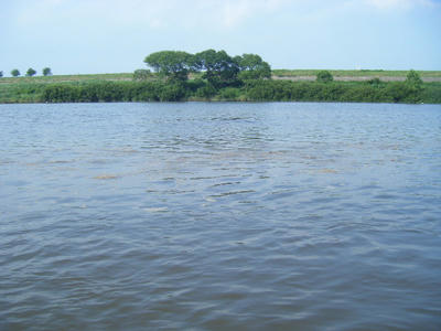 DSCF1292.JPG