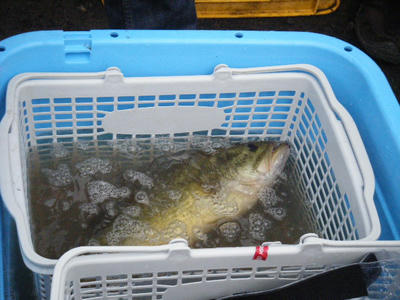 DSCF1317.JPG