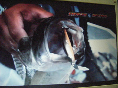 DSCF1514.JPG