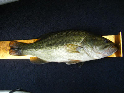 DSCF1487.JPG