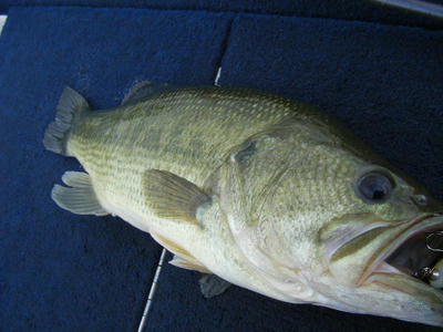 DSCF1486.JPG