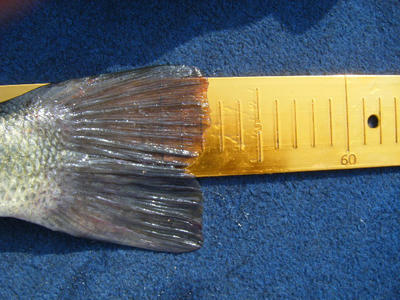 DSCF1526.JPG