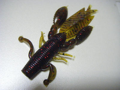 DSCF1554.JPG
