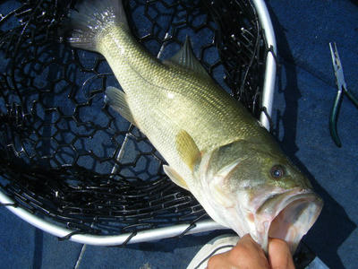 DSCF1568.JPG